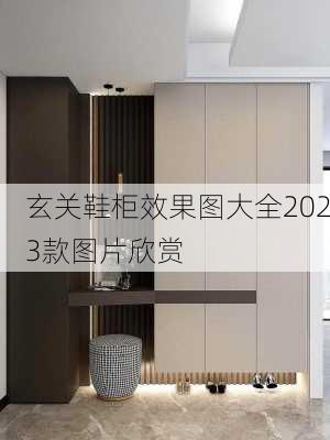 玄关鞋柜效果图大全2023款图片欣赏