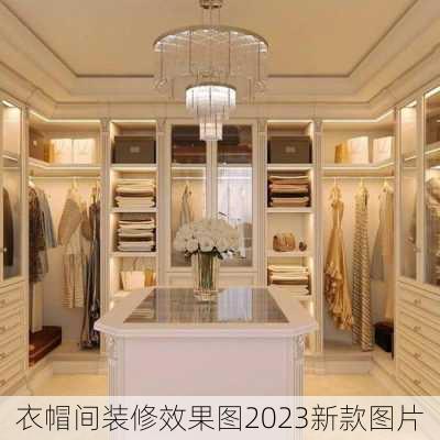 衣帽间装修效果图2023新款图片