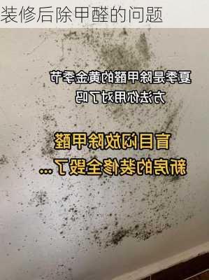 装修后除甲醛的问题